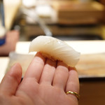 桜坂 加とう - いか