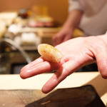 桜坂 加とう - ひらめ