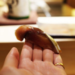 桜坂 加とう - さば