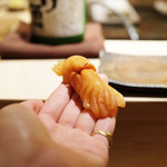 桜坂 加とう - 赤貝