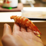 桜坂 加とう - 車海老