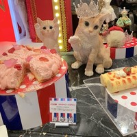 ロビーラウンジ 「マーブルラウンジ」 ヒルトン東京 - 