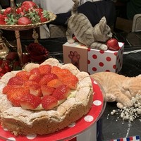 ロビーラウンジ 「マーブルラウンジ」 ヒルトン東京 - 