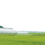 Delicious farｍ - 農園内にお店があります