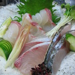 酒房　田月 - お魚はマスターが買い付けに行かれるそうです。