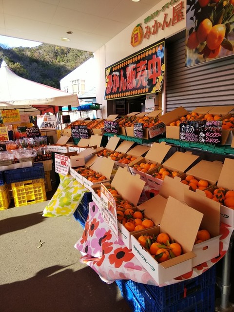 みかん屋 細尾青果 とれとれ市場店 ミカンヤ ホソオセイカ 白浜 その他 食べログ