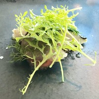 リストランテ･ヒロ チェントロ 丸ビル店 - 