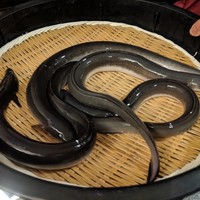 入谷鬼子母神門前のだや - 