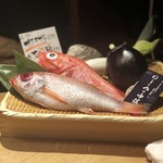 炭火原始焼と蔵元焼酎の店 のどぐろの中俣 - この日のオススメを丁寧にご紹介頂きました