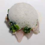 レフェルヴェソンス - 