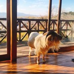 清澄の里 粟 - お邪魔しま〜す！御飯くださ〜い！