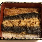 鰻はし本 - 鰻重