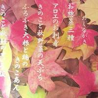 やさい家めい 表参道ヒルズ本家 - おしながき