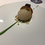 レフェルヴェソンス - 定点〜