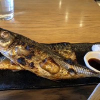 KINKA sushi bar izakaya 渋谷 - 