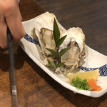 しまなみ直送 真鯛・海鮮料理専門店 鯛将 - 牡蠣はこぶり。