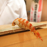 東麻布 天本 - 車えび