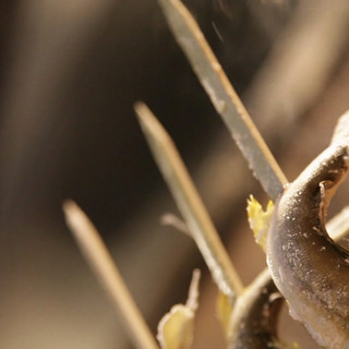 リストランテ ミヤマ162_1