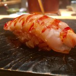 鮨 とかみ - 車海老 しっかり茹でてあり、甘味が広がる