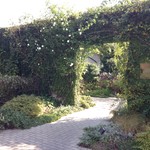 リストランテ　プリマヴェーラ - 