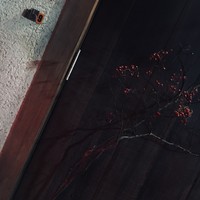bb9 - 