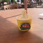 Dole Plantation - 