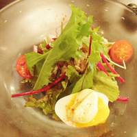 ビストロケンヂ - ツナとゆで玉子のサラダ（ランチ）