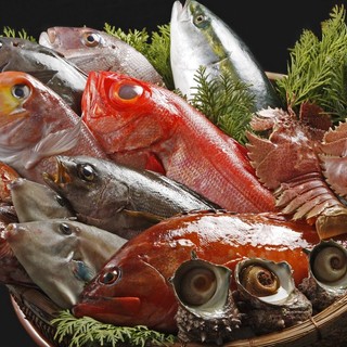 鮮度にこだわった旬の魚介と九州素材の肉料理を篤とご堪能あれ