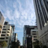 Furutoshi - 