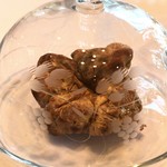 リストランテ　プリマヴェーラ - 