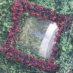 リストランテ　プリマヴェーラ - 