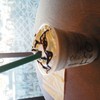 スターバックス・コーヒー イオン海浜幕張店
