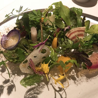 レフェルヴェソンス - 