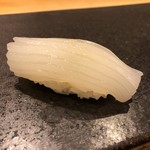 あま木 - 剣先イカ