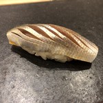 あま木 - コハダ