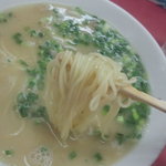長浜ラーメン - ２６番線位の細麺ｽﾄﾚｰﾄ麺、ｴｯｼﾞのあるｽｸｴｱ断面、加水率は中低級