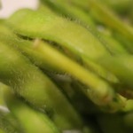 酒菜坊 橋蔵 - 枝豆（初物）ズームアップ