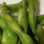 酒菜坊 橋蔵 - 枝豆（初物）ズームアップ
