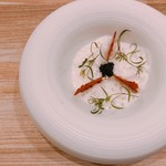 サンプリシテ - 