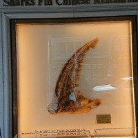 筑紫樓 銀座店 - 