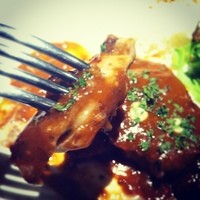 コック アジル - 