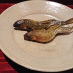 銀座 しのはら - もろこ