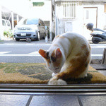 Katsugyo Chibaya - 招き猫♪