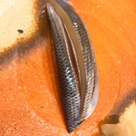 秀徳本店恵 - コハダ