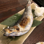 Robata Toudai - 