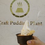 Craft Pudding Plant - 