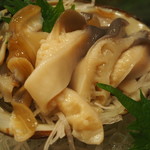 帆掛鮨 - ホッキ貝