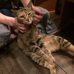 鹿教湯 三水館 - (=^・^=)