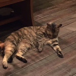 鹿教湯 三水館 - にゃーーん