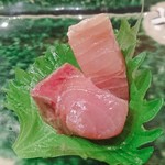 Sushi Sen - 